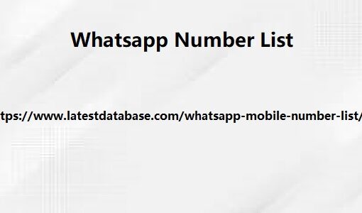 WhatsApp Mobile Number List