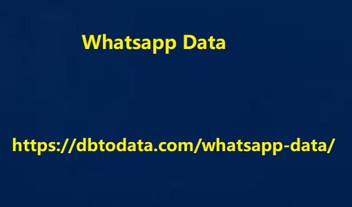 Whatsapp Data