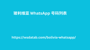 玻利维亚 WhatsApp 号码列表
